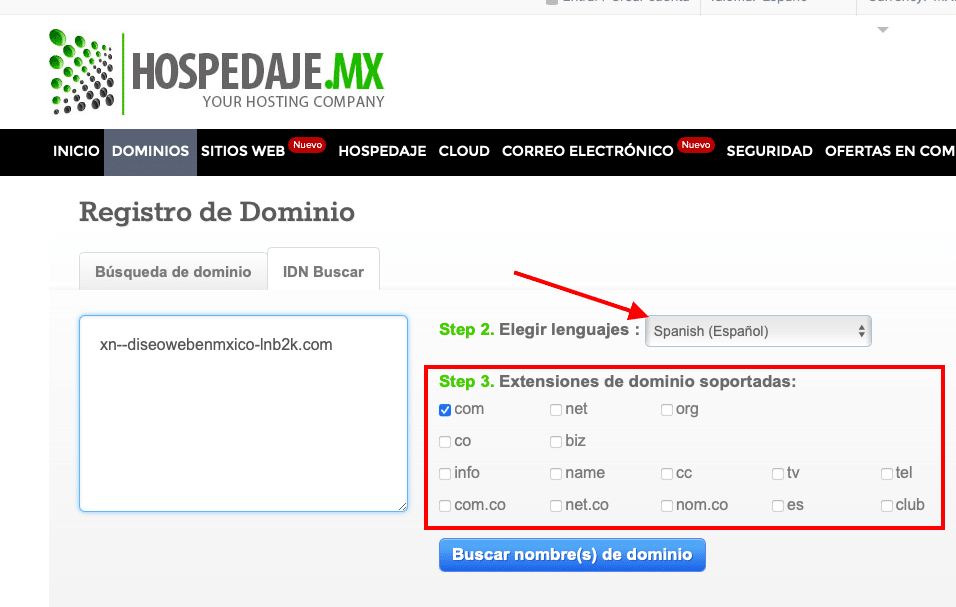 Registro de dominio IDN